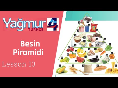 Turkish Intermediate Lesson 13, Food Pyramid, Besin Piramidi