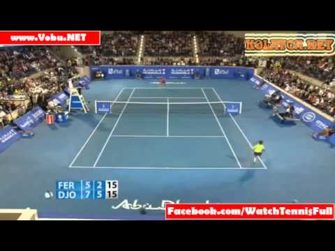 Novak Djokovic v David Ferrer Abu Dhabi Mubadala World Tennis Champion Final higlights-2013