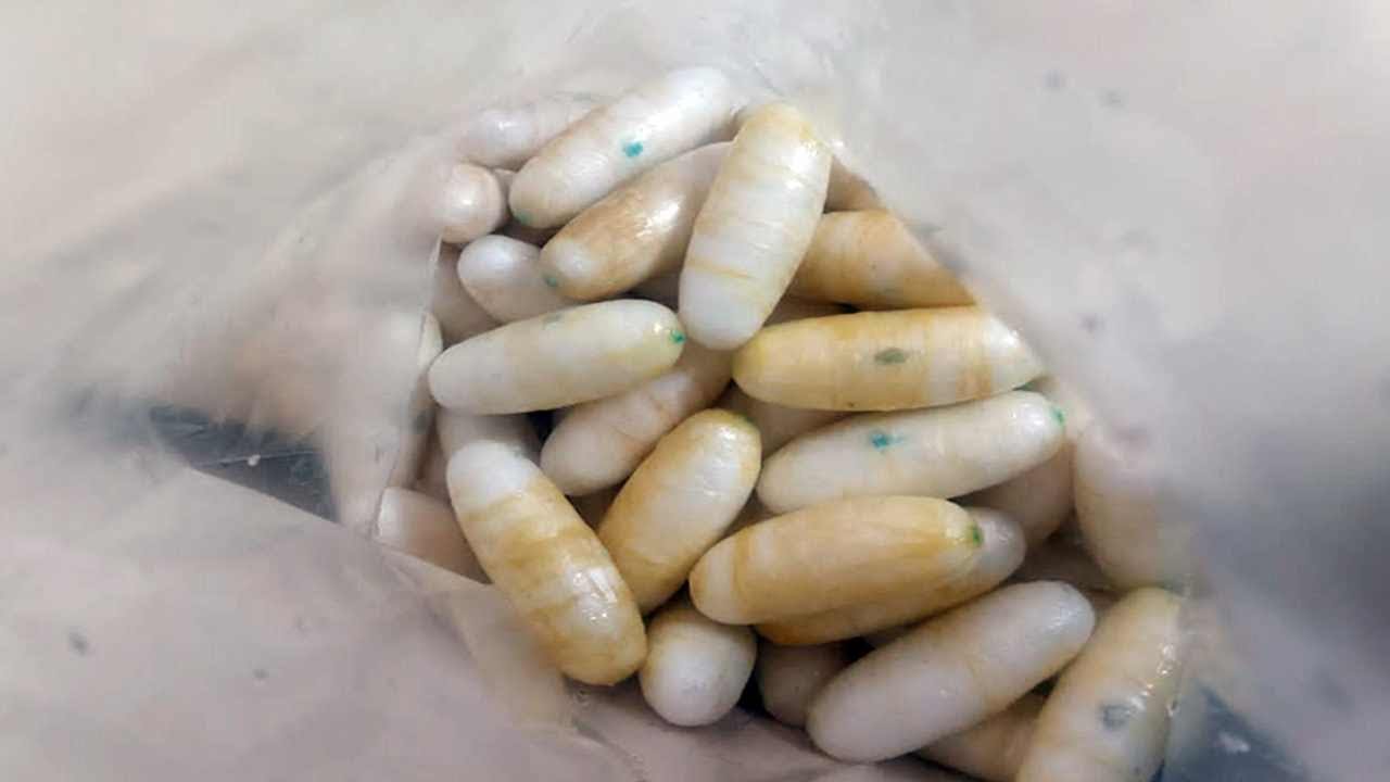 Փորձ է արվել մաքսանենգ ճանապարհով Բրազիլիայից ՀՀ տեղափոխել կոկաինի առանձնապես խոշոր խմբաքանակ