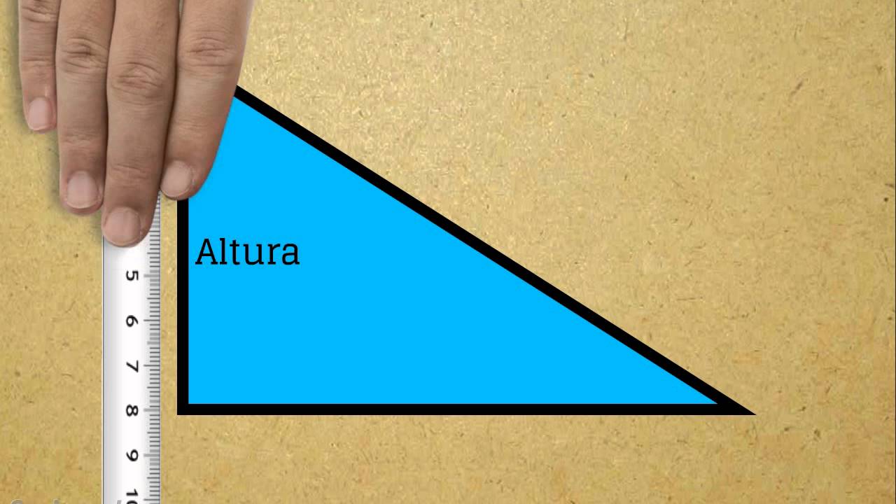 ALGORITMO: Calcular el área de un triángulo.