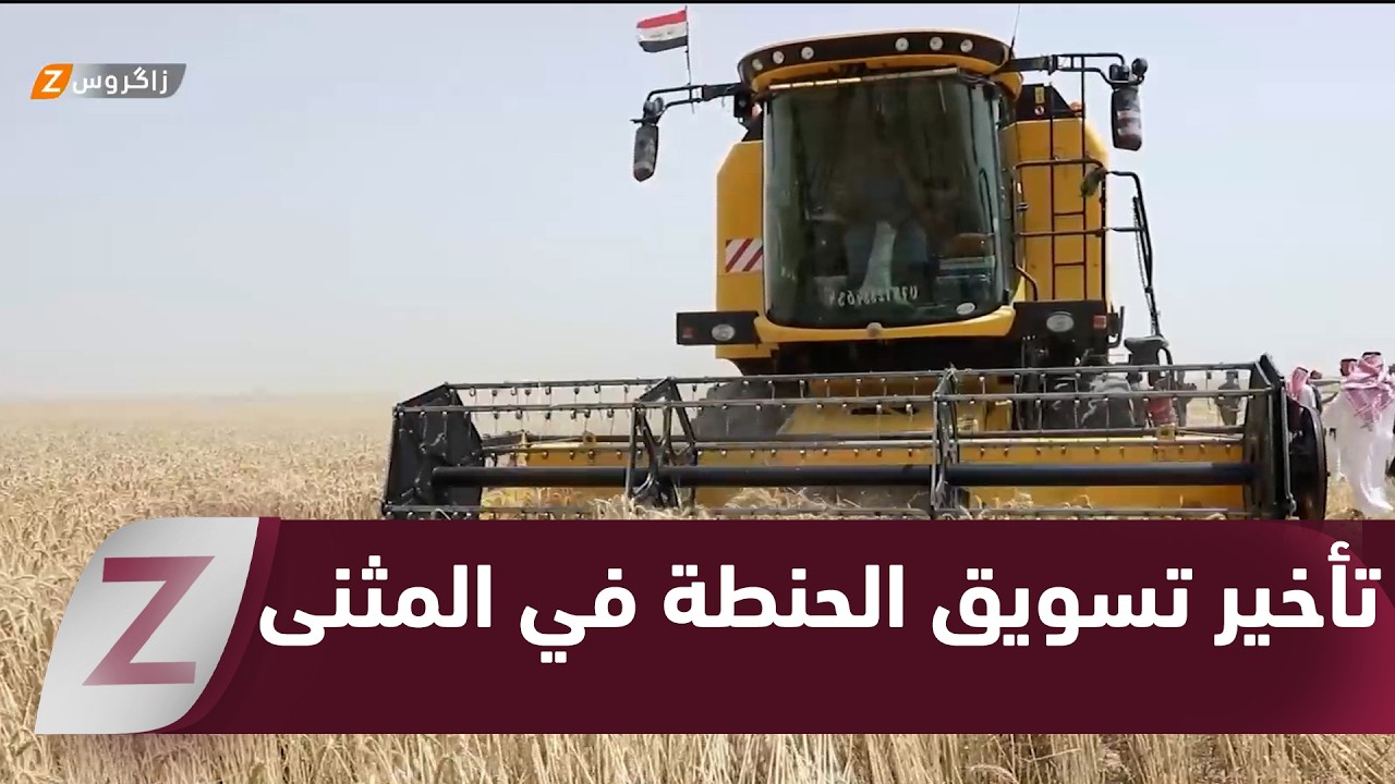 فيديو | المثني.. تسويق الحنطة في المثنى.. معاناة الفلاحين بين التأخير والخسائر