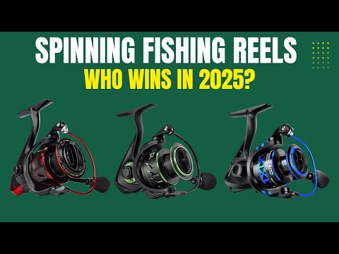 TOP 5: Best spinning fishing reels of 2025
