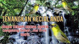 Download lagu Terapi Kecial Kuning Lombok super jos mp3