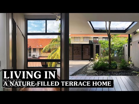 Dentro de uma casa de 2 andares repleta de luz, com espaços de entretenimento abertos e uma árvore interna