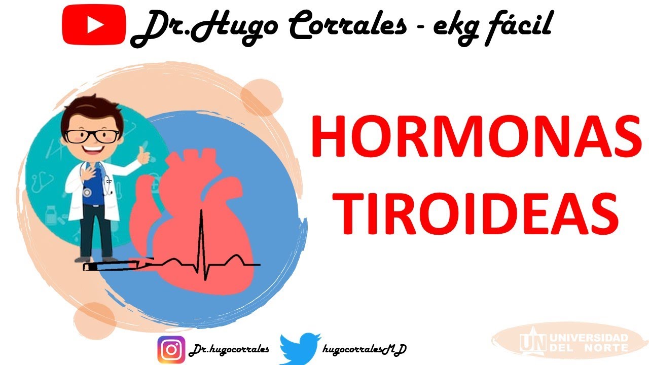 FISIOLOGÍA DE LA GLÁNDULA TIROIDES. HORMONAS TIROIDEAS. Profesor Hugo Corrales.