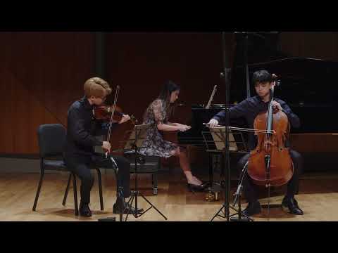 Haydn Trio Hob.XV:29 in E-flat Major, 1st mov | Trio Tokava