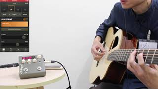 Video thumbnail for L.R Baggs - Voiceprint DI acoustic guitar Impulse Response Pedal Demo by 陸比音樂