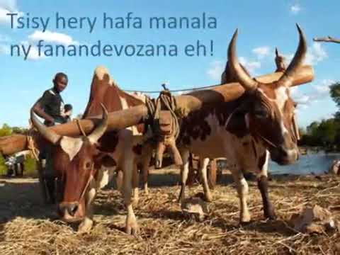 Gasikara - Rija Rasolondraibe (Lyrics)