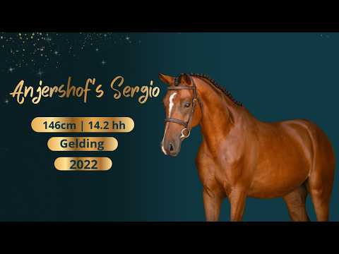 Sergio video 2