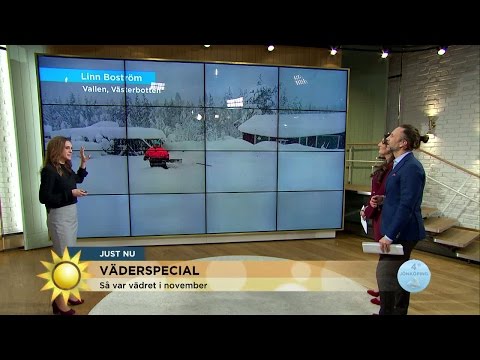 Väderspecial: Rekordväder i november - Nyhetsmorgon (TV4)