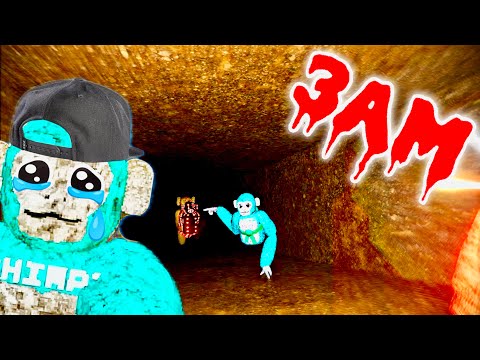 Scary Baboon Is So CURSED At 3AM…