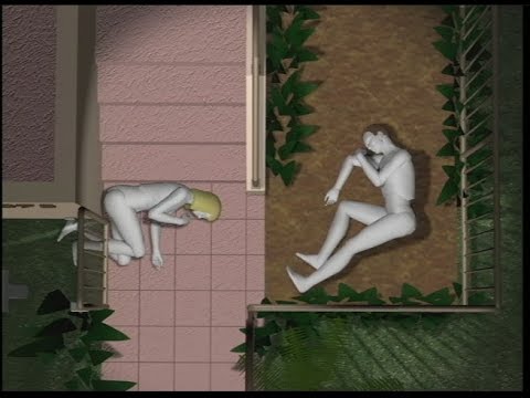 OJ Simpson: The Homicides -- Animation - Knife Wounds & More (No Audio)