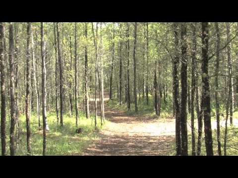 June 1 - Meadow Lake Provincial Park