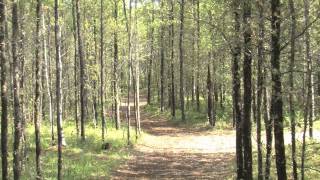 June 1 - Meadow Lake Provincial Park