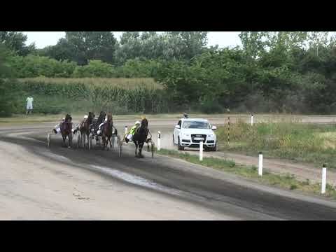 Trka "Maxi-Taxi" 04.08.2019 Fotta Royal - Dejan Katanić