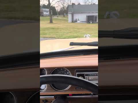 1978 Dodge D150 Custom Diesel by Clarke Motors