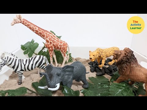 Safari Animals Activity | Sensory Tray | Videos for Toddlers