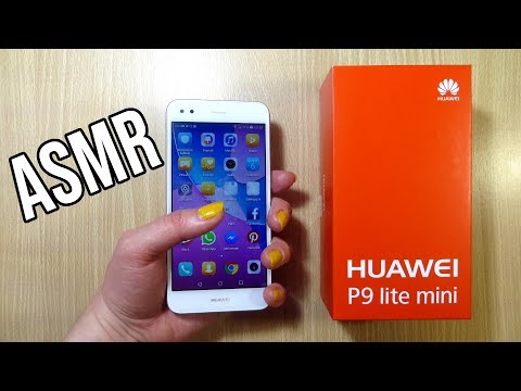 Ivy Lily Creative and Ivy Lily ASMR