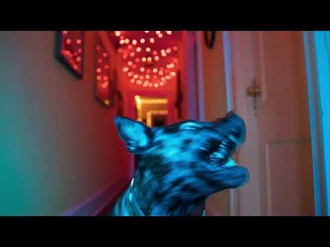 The World is a Beautiful Place & I am No Longer Afraid to Die - "In Circles"