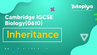 Monohybrid Inheritance