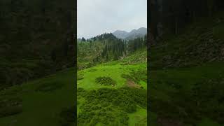 Gabeen jaba swat #automobile #lifeisbutadream