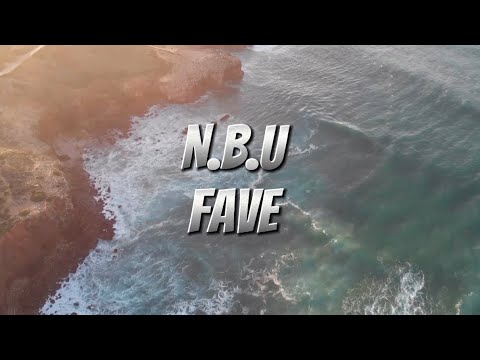 Fave - N.B.U (lyrics video)