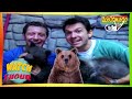 Zoboomafoo With The Kratt Brothers HD Full Episodes Compilation
