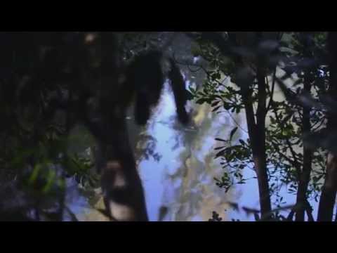 smitty the bg - oceans