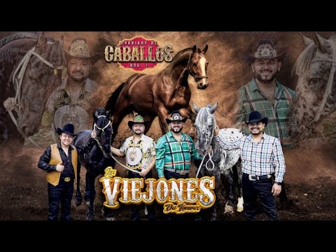 Los Viejones de Linares - Corridos De Caballos Vol 1