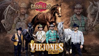 Download lagu Los Viejones de Linares - Corridos De Caballos Vol 1 mp3