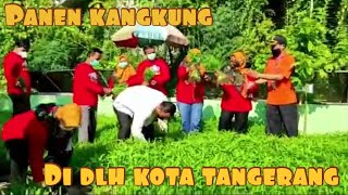 Download lagu Panen Kangkung di DLH Kota Tangerang mp3