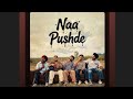 Naa Pushde || Saivi Fareed | Latest Punjabi Song Full Video Group Video|#harshnussi|#simmustatus_01|