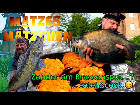 Matzes Mätzchen - Zander at Brassenplatz - Catch&Cook