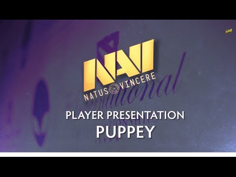 Na`Vi.Puppey - The International 4 Player Profile