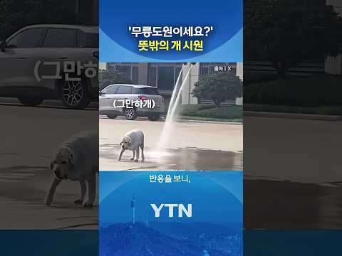 네… 무릉도원이네요… #shorts / YTN