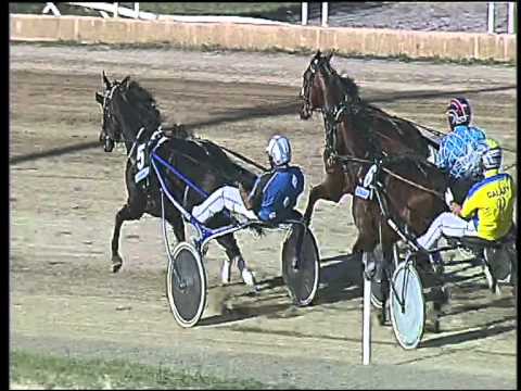 Trotto 20/09/2015 - 4° corsa