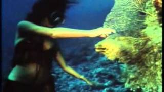 вокруг света(1989г)-кадры шокировшие советского зрителя!