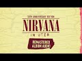 Nirvana In Utero 30th Anniversary Edition