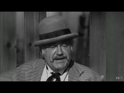 Portret in memoriam Dem Rădulescu  (@Arhiva TVR)