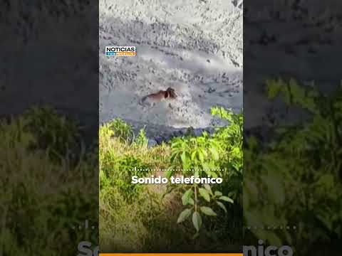 Volcán de lodo entra en actividad en San Pedro de Urabá
