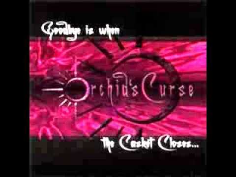 Orchid's Curse- OBSESSION