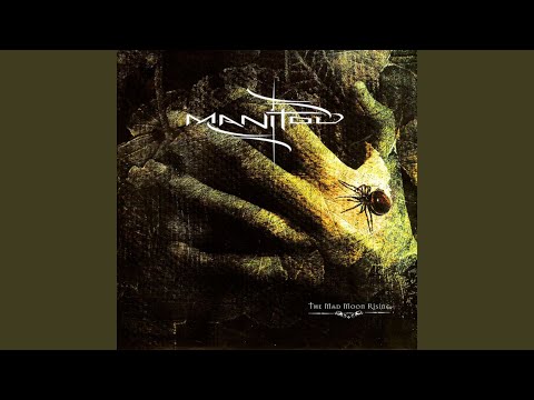 The Valley of Evergreen