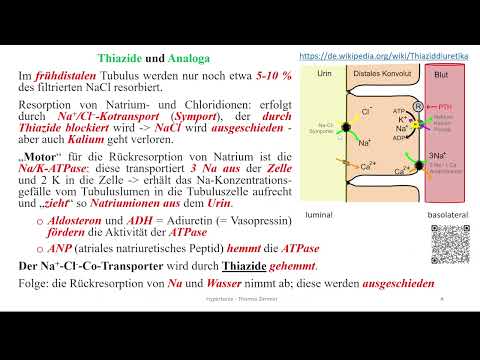 Hypertonie Therapie Diuretika Einschub TGF +GFR - und die Folgen für Schleifendiuretika und Thiazide