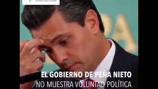 Video: #endimpunity es necesario que el gobierno de EPN asuma compromiso político para combatir los