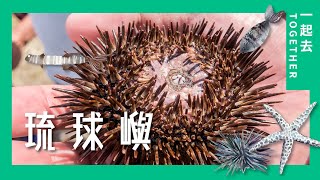 小琉球｜Liuqiu Island 拉美島 Lambay