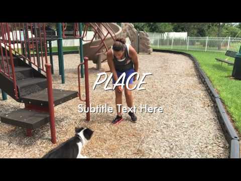 5 Month Old Border Collie "Zoey" Amazing 14 day Obedience! Best Dog Trainers Orlando