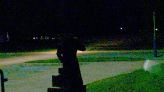 Cover art for scorpion