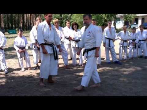 Shotokan karate Meikyo kata bunkai