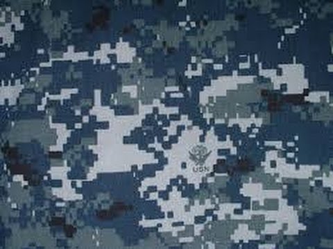 Weapon Camo Vendor - THE DIVISION - "Digital - NWU" 6/6/16