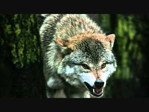 Koljah Feat Mic-El - What itz Like (o . +)